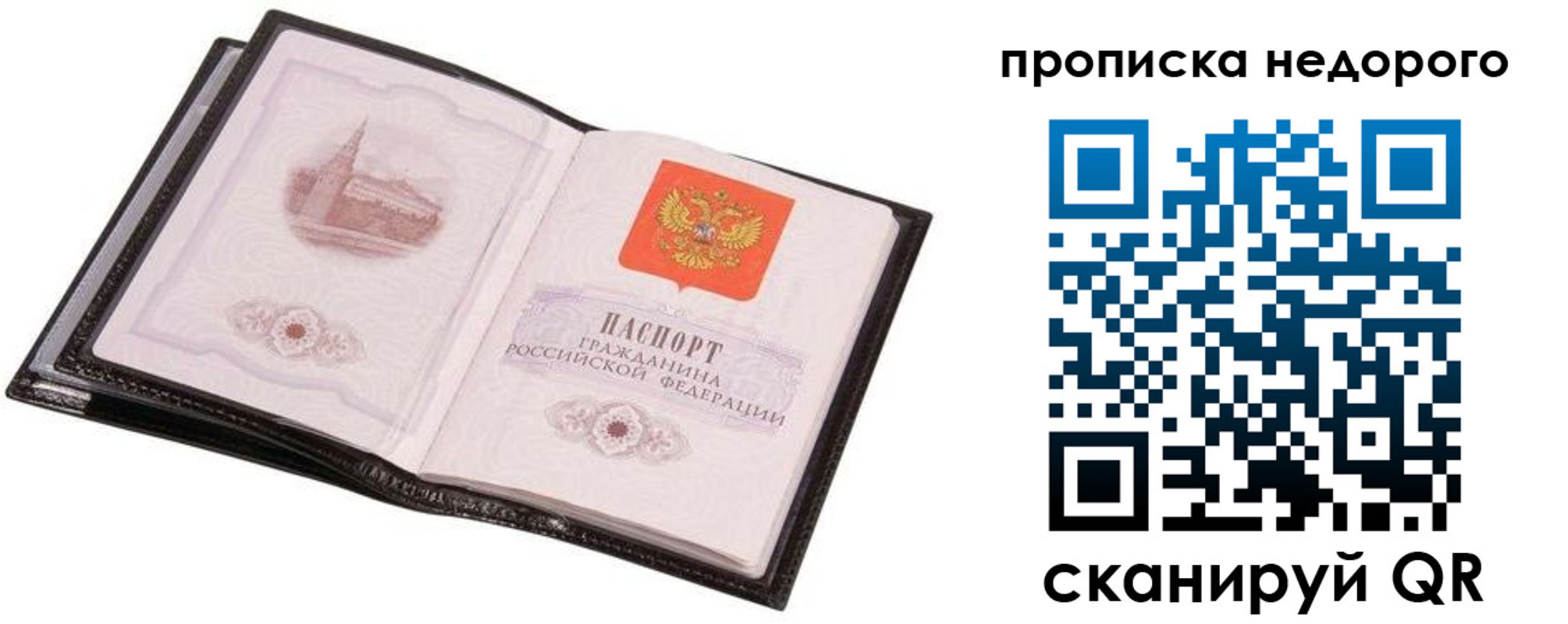 регистрация для школы в Курской области